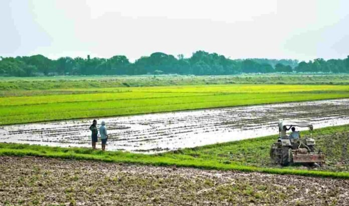 Screenshot 2025-08-20 203653 Madhya Pradesh, Project Vasundhara, sustainable farming, organic farming, farmer producer companies, Samunnati, agriculture India, low-residue farming,