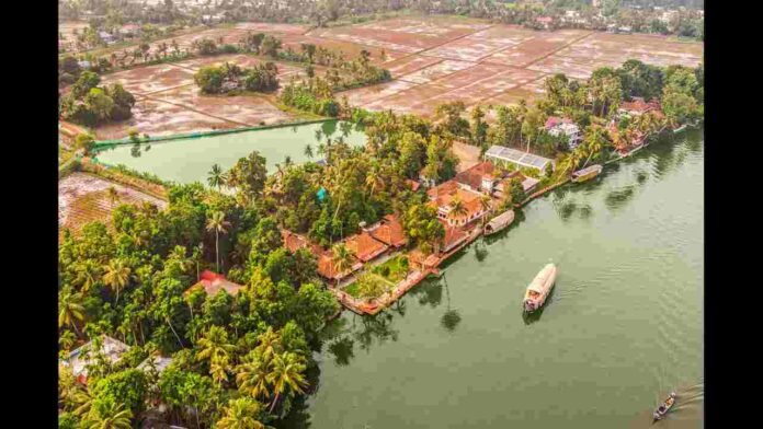 Palm Dale_ELIVAAS.jpeg ELIVAAS, luxury villas, Kerala, villa rentals, Alappuzha, Varkala, Thekkady, South India, luxury travel, India tourism, vacation rentals